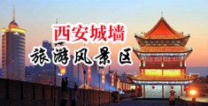 欧美侏儒美女操逼中国陕西-西安城墙旅游风景区