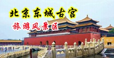 操穴小视频黄中国北京-东城古宫旅游风景区